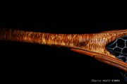 Custom Curly Koa, Teak, Wenge & Mahogany Net with Curly Koa Magnetic Net Release