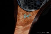 Custom Net- Maple Burl & Wenge with Copper & Kingman Turquoise inlays.