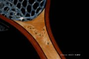 Custom Cat's Paw Burl Maple, Wenge & Mahogany fly fishing net