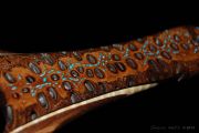 Banksia Pod handle, Black Walnut & Curly Maple hoop with Kingman Turquoise and copper inlays
