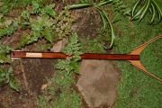 Large Custom Lasered Net of Curly Ash, figured Mahogany, Wenge, and Maple