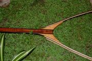 Large Custom Lasered Net of Curly Ash, figured Mahogany, Wenge, and Maple