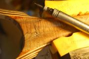 The carved fly