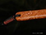Sierra Nets Custom Fly Fishing Net- Eucalyptus Burl, Curly Mahogany, Cherry & Wenge