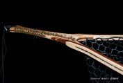 Custom Fly Fishing Net, Salmo Trutta, by Sierra Nets