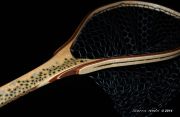 Custom Fly Fishing Net, Salmo Trutta, by Sierra Nets