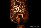 Custom Oak Burl Net by Sierra Nets.  Turquoise, Copper & Bronze inlays.