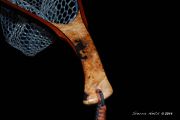 Custom Maple Burl Fly Fishing Net by Sierra Nets