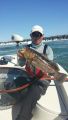 Dave with a hog of a Calico Bass
