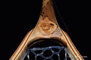 Custom Fly Fishing Net By Sierra Nets- Stabilized Spalted Maple Burl net