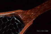 Lace Redwood Burl custom fly fishing net by Sierra Nets