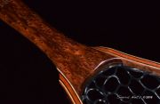 Lace Redwood Burl custom fly fishing net by Sierra Nets