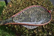 A custom Maple burl fly fishing net by Sierra Nets