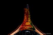 Golden Trout Themed Net inlaid with Bloodwood & Anthracite