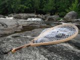 A Sierra Net on an Arizonian Small Stream