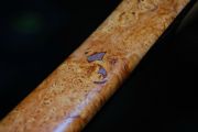 Sierra Nets- Carolina Cherry Burl, Cocobolo, Cherry & Wenge w/Inlaid Copper in Handle