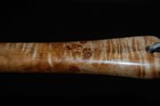 The Cat's Paw Burl