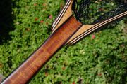 Figured Mahogany, Curly Ash, Wenge