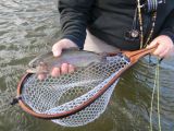 Gary of Western Visions Fly Fishing Lanyards Lands Another