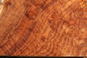 Beautiful & rich Claro Walnut Burl
