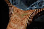 Sierra Net Custom Maple Burl, Curly Maple, and Wenge Fly Fishing Net