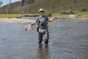 Soda Butte Creek Nettin'